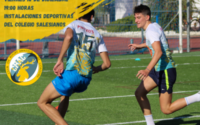 Actividad final rugby